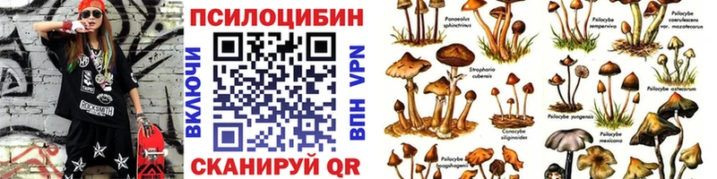 Купить  Темрюк  Псилоцибиновые грибы GOLDEN TEACHER 